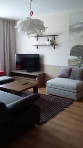 瓦尔米耶拉Kaktuss Apartamenti的带沙发和电视的客厅