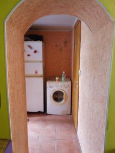 敖德萨Домик у моря的洗衣房配有冰箱和洗衣机