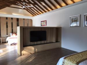Liugui宝来山泽居Villa的客厅设有壁挂式平面电视。