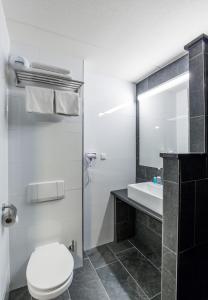 布森布森希尔弗瑟姆堡垒酒店的一间带卫生间和水槽的浴室