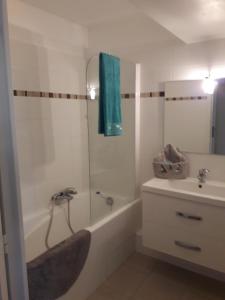 尼斯弗洛瑞瓦公寓的带浴缸和盥洗盆的浴室