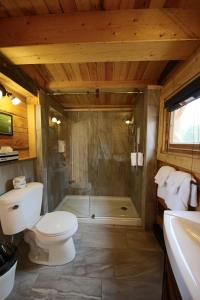 北圣罗斯Auberge Cap au Leste的带淋浴、卫生间和盥洗盆的浴室