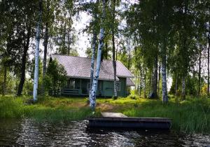 兰塔萨尔米Mansikkaniemen Lomakeskus的水体旁树林中的房屋