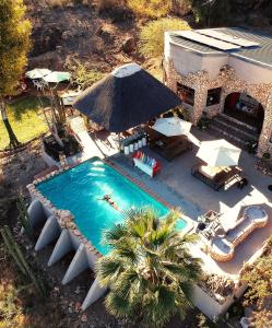奥乔Sasa Safari Camp & Tours的游泳池顶部景,带遮阳伞