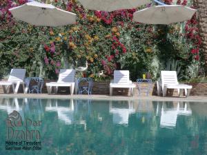塔鲁丹特Riad Dar Dzahra的一组椅子和遮阳伞,位于游泳池旁
