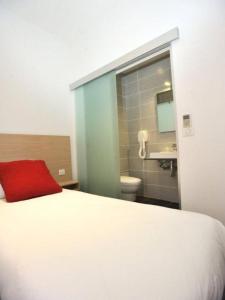 蒙特卡罗法国酒店的一间卧室配有一张床,浴室设有水槽