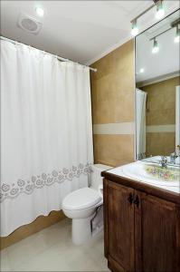 潘吉普伊Hotel Boutique Ecoterraverde的浴室设有卫生间、水槽和淋浴帘