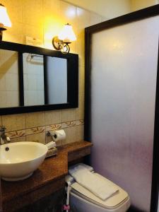 CurrimaoPlaya Tropical Resort Hotel的一间带水槽、卫生间和镜子的浴室