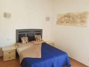 阿尔扎凯纳Appartamento Monte Mare Arzachena的一间卧室配有一张带蓝色毯子的床