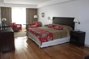 布宜诺斯艾利斯弗朗西丝酒店及俱乐部的一间带大床的卧室和一间客厅