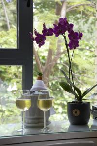 帕特纳Hotel Vista al Sol的窗台,带两杯酒和一朵花