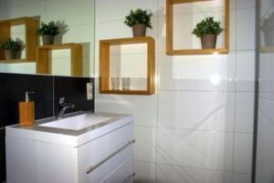 Gasteren加斯特恩住宿加早餐旅馆的一间带水槽和两面镜子的浴室