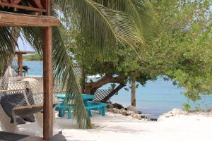 Savaneta珊瑚礁海滩酒店的相册照片