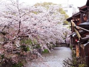 京都京町家易碧苏旅馆的相册照片