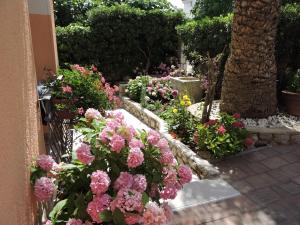 木洛希尼Neda Apartmani的一座花园,在一座建筑前种满了粉红色的花朵