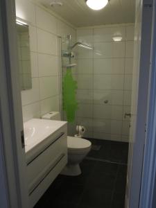 斯屈勒斯塔穆Voss, Øvre Tråstølen的浴室配有卫生间、淋浴和盥洗盆。