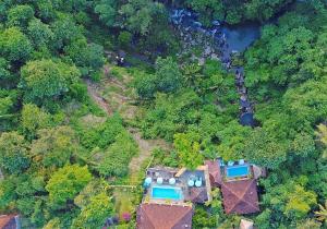 乌布Villa Kalisat Resort的森林中房屋的空中景观