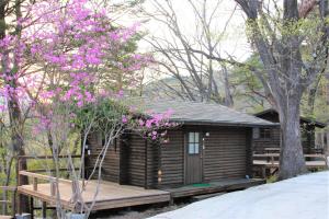 饭能市Shomarutoge Garden House的小木屋前方有粉红色的花朵