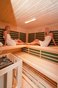 沃尔特湖畔韦尔登Pleschinhof的两名女性使用桑拿浴室的双层床