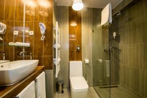 塞格德赛恩斯酒店的一间带水槽、卫生间和淋浴的浴室