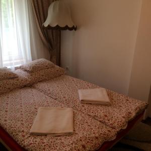 Liliom Vendégház客房内的一张或多张床位