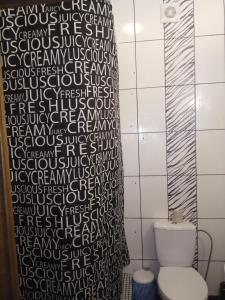 敖德萨洛丁娜酒店的浴室设有淋浴帘,位于厕所旁