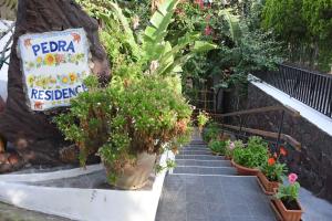 斯特龙博利佩德拉公寓 的一条种植了盆栽植物和标志的花园小径