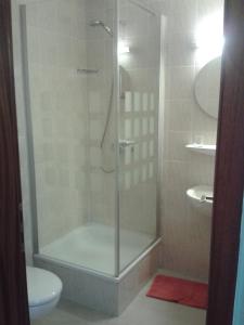 施特雷利茨Hotel Haegert的浴室里设有玻璃门淋浴