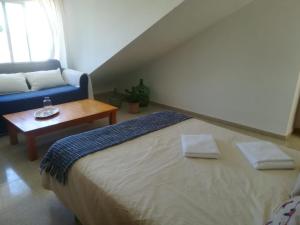 桑卢卡尔-德巴拉梅达Casa Algaida的一间卧室配有一张床和一张蓝色的沙发