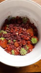 泽拉夫纳扎寇瓦卡什塔旅馆的盘子里的一碗豆子和草莓
