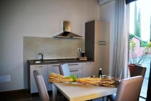 马利亚诺因托斯卡纳Agriturismo L'Aquilone的厨房配有桌椅和水槽