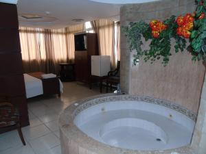 瓜亚基尔马雷贡酒店的花房里的大浴缸