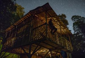 比尔卡班巴Rumi Wilco Ecolodge & Nature Reserve-Cabañas & Camping的一个人晚上站在树屋的顶端