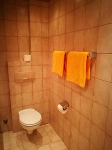 因斯布鲁克Gasthof Stauder的一间带卫生间的浴室和墙上的毛巾