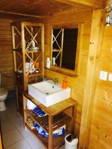 ChotilskoSummer lake的小木屋内带水槽的浴室