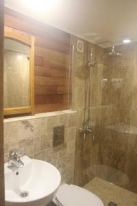 辛尼莫雷特Hotel Anchor的带淋浴、卫生间和盥洗盆的浴室