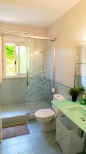 圣佩德罗-德里瓦斯Mi Casa的浴室配有卫生间、淋浴和盥洗盆。