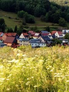 UnterschönauGasthaus&Pension "Grünes Herz"的一座高草场上的城镇