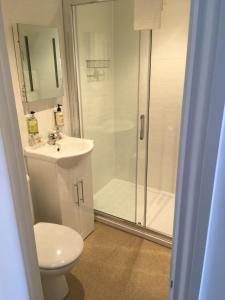 伯恩茅斯Hotel Balmoral的带淋浴、卫生间和盥洗盆的浴室