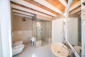 明乔河畔的瓦雷奇奥Regia Rosetta - Royal Rooms Borghetto的一间带水槽、卫生间和淋浴的浴室