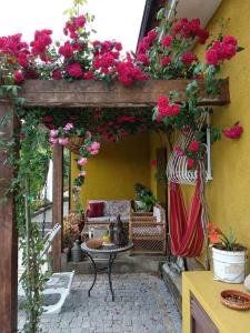 SedielosKing's House Douro Valley的一个带鲜花、桌子和沙发的庭院