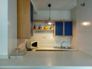 塞内斯德拉韦加Nevada Apartaments的厨房配有水槽和微波炉