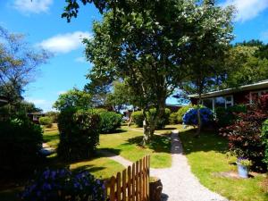 波斯陶恩Mount Hawke Holiday Bungalows的一个带木栅栏和树的花园