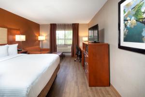 列治文山Canadas Best Value Inn-Richmond Hill的配有一张床和一台平面电视的酒店客房