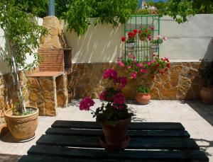 鲁伊德拉Casa Rural Maria Belen的长凳上种有盆栽植物和鲜花的庭院