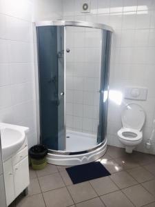 罗威Pensjonat Tahiti的带淋浴、卫生间和盥洗盆的浴室