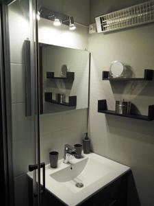 莱孔塔米讷蒙茹瓦Le Bionnassay的一间带水槽和镜子的浴室