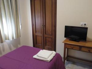 CamponarayaHostal Orly的一间卧室配有紫色的床和一台平面电视