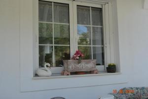 艾迪普索斯ELENI'S VILLAGE RELAXATION HOME的窗台上装有鲜花的窗子
