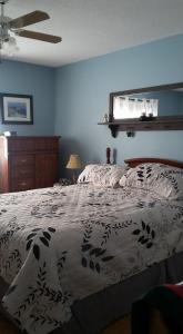 博纳维斯塔Aggie's B&B的一间卧室设有一张床和蓝色的墙壁